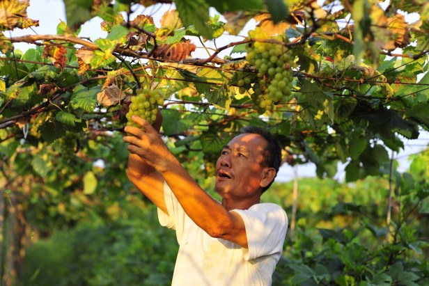 11141360_1137466599600748_2611845750545450803_o