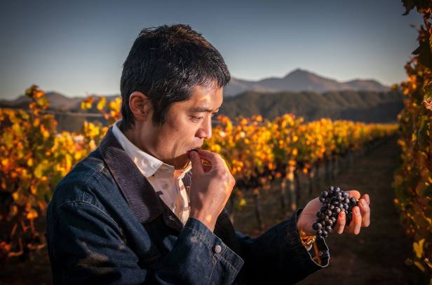 19222794_468544096830425_2354092460417564534_o