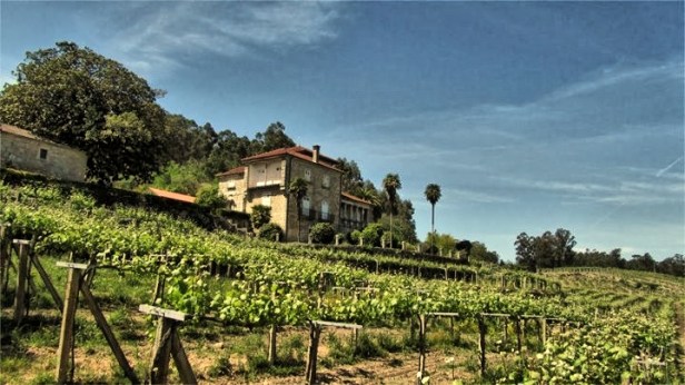 bodegas_dominio_tares_riasbaixas