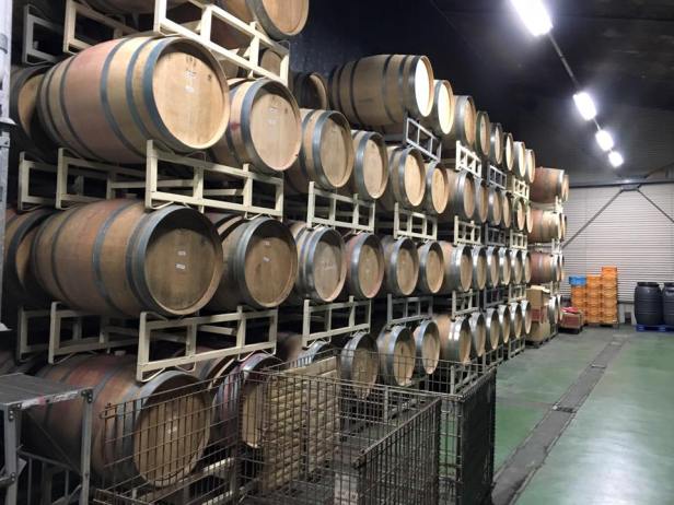 19113824_845697798920615_4060809452025162961_n