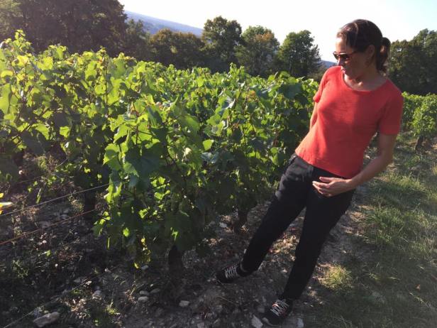 14316751_1355642011127753_3831924494821980155_n