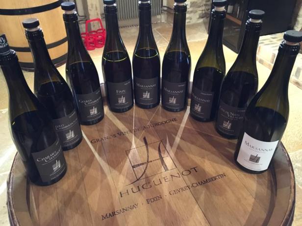 14330133_1359961377362483_3784008085201996271_n