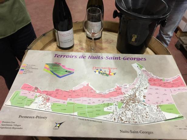 14344806_1355635154461772_7211193521017682657_n