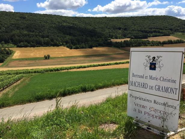 14355033_1355635147795106_5319567834784396442_n