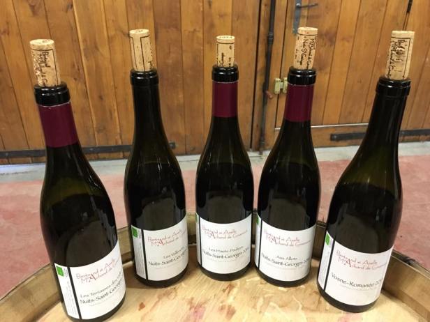 14364908_1355636824461605_2900549664683126041_n