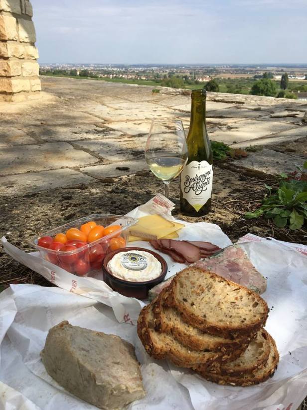 14368904_1361865030505451_8584998795658093425_n