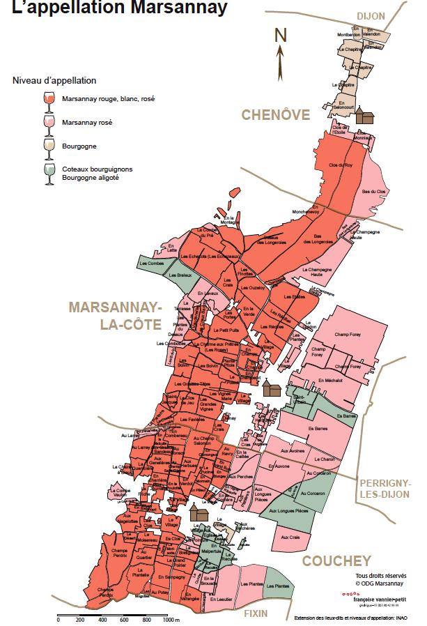 14390774_1359972537361367_3318437449298240241_n